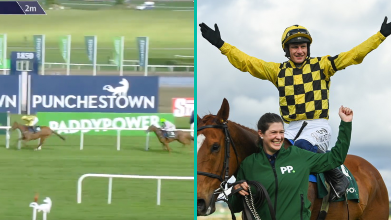 Watch: Willie Mullins Trained State Man Wins Champion Hurdle At Punchestown
