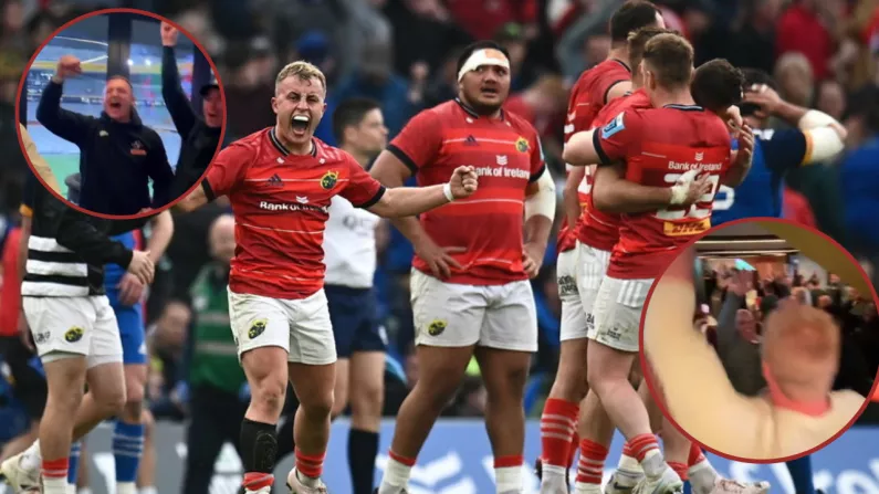 Watch: The Stormers Squad And Staff Went Mental Moments After Munster Beat Leinster