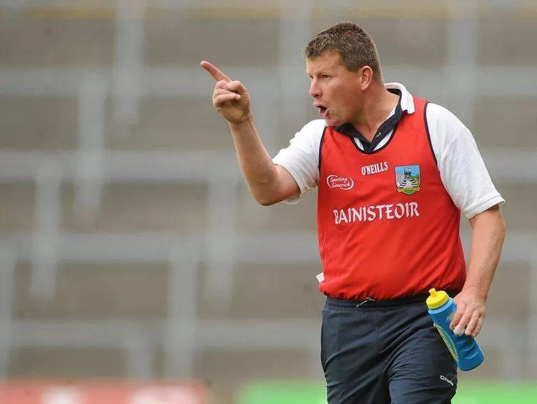 gearoid hegarty father limerick hurling panel