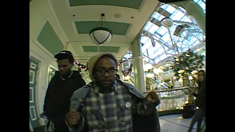 Watch: Stephen's Green Shopping Centre Features In Kendrick Lamar Video