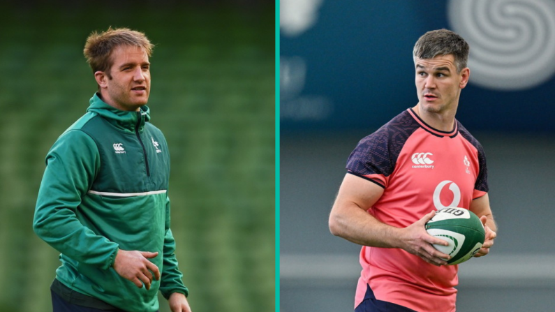 Johnny Sexton's Comments To Fitzgerald Bode Well For Ireland's World Cup Hopes