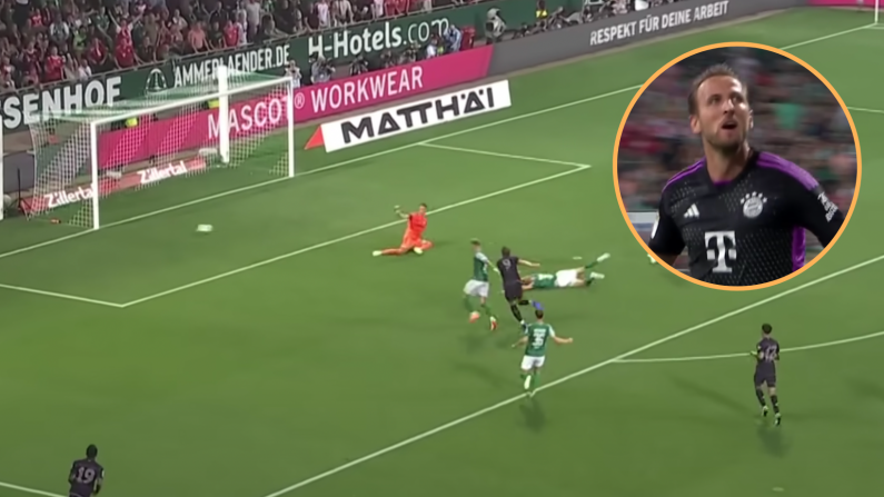 Harry Kane Shines On Bundesliga Debut With Goal And Assist