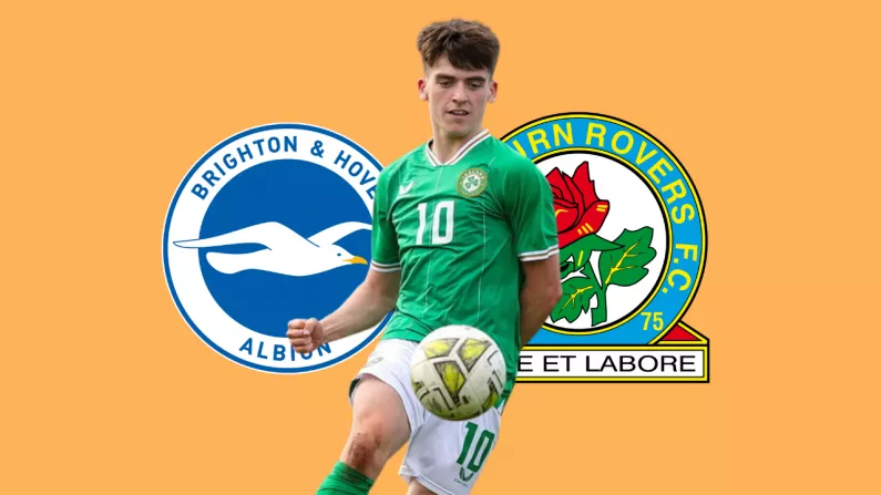 Brighton's Ireland Youth Star Andrew Moran Set For Championship Loan |  Balls.ie