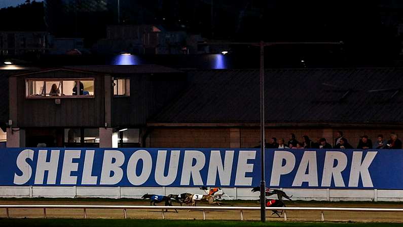 For Those In Greyhound Racing, The Next 48 Hours Are Like Christmas