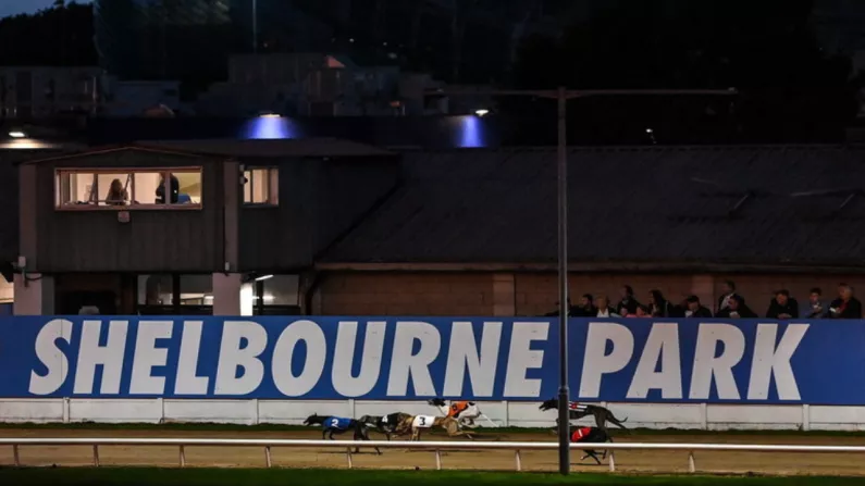 For Those In Greyhound Racing, The Next 48 Hours Are Like Christmas