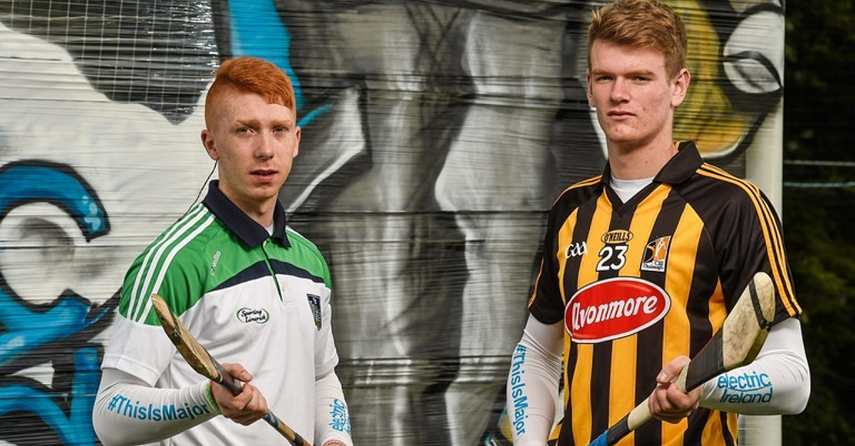 Former Kilkenny Minor Hurling Captain Fitting In 'Seamlessly' At Brisbane - Vimarsana News