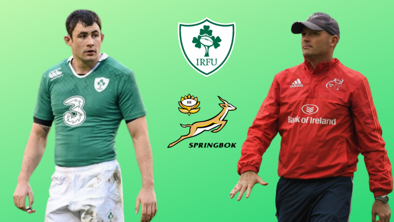 The Strong Irish Connections In The South Africa Rugby World Cup Final Squad