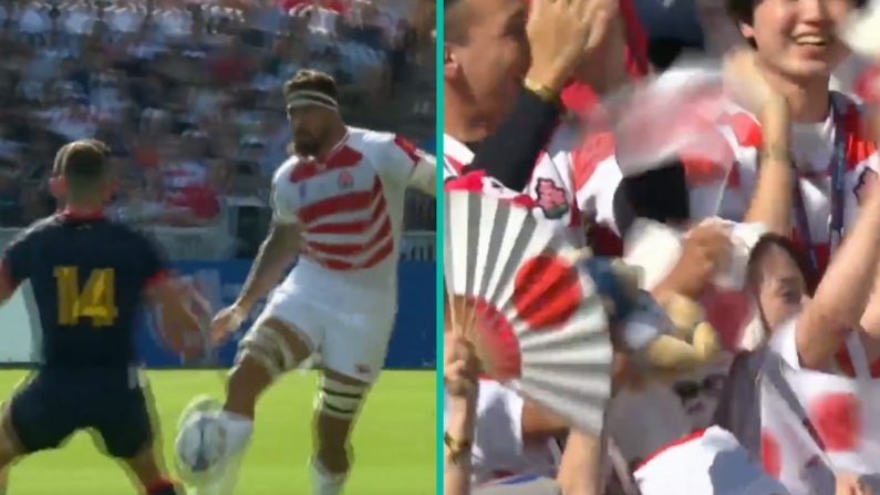 Rugby World In Awe As Japan & Argentina Play Out World Cup Thriller