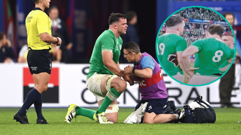 The TV Cameras Looked To Pick Up A Worrying James Ryan Comment After Scotland Win