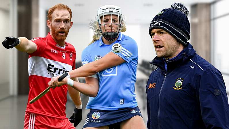 The Camogie, Gaelic Football And Hurling Business All-Star XV