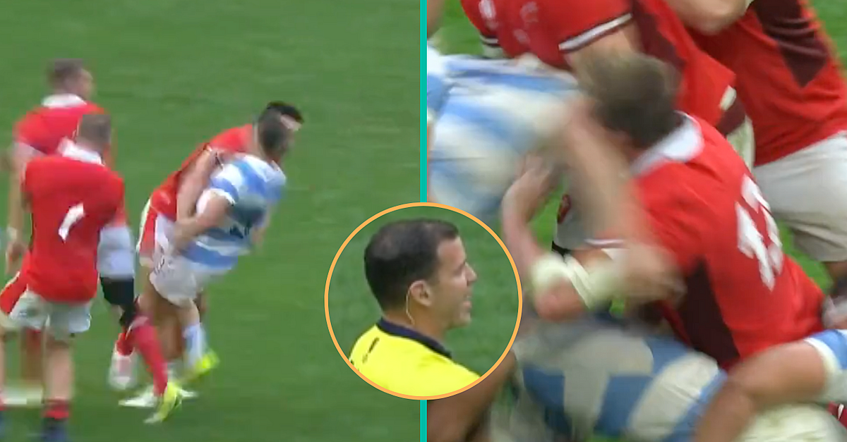 Sub Ref Criticised For Two Questionable Decisions In Wales V Argentina ...
