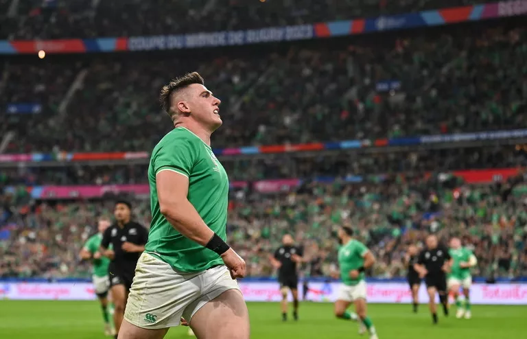 Ireland rugby - player ratings - rugby world cup