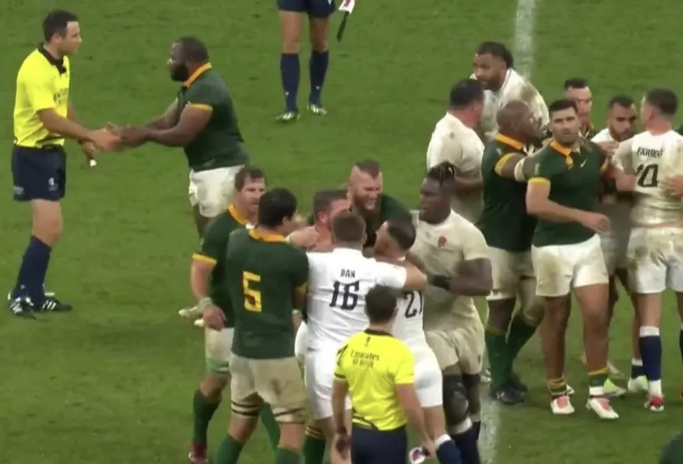 Willie Le Roux at the heart of a fight at the end of World Cup semi final