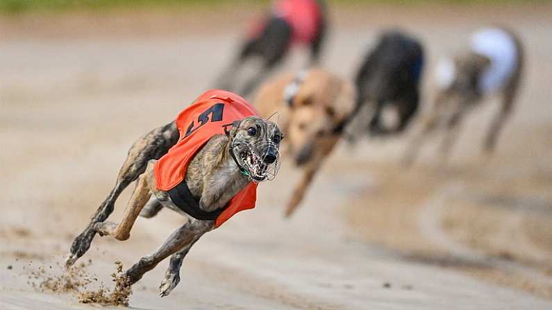 Penultimate Stage Of Irish St Leger Set To Provide Plenty Of Excitement This Weekend