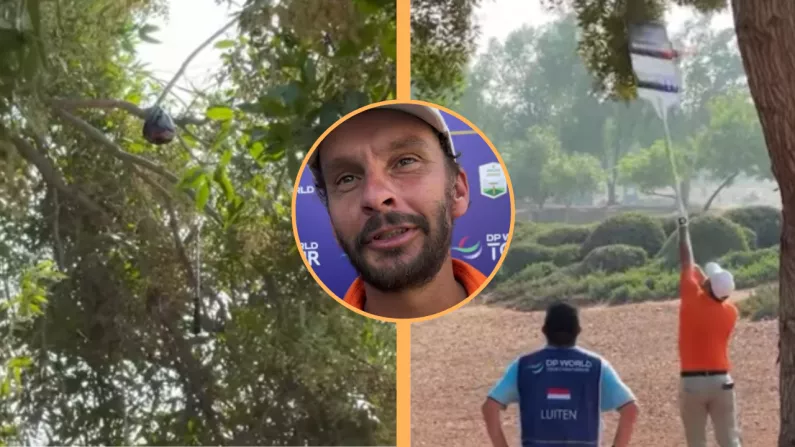 Dutch Golfer Loses The Plot, And Three Clubs In A Tree At DP World Championship
