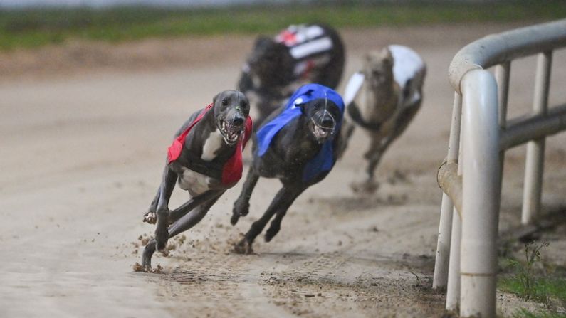Christmas Has Come Early For Racing Fans At Shelbourne Park This Weekend