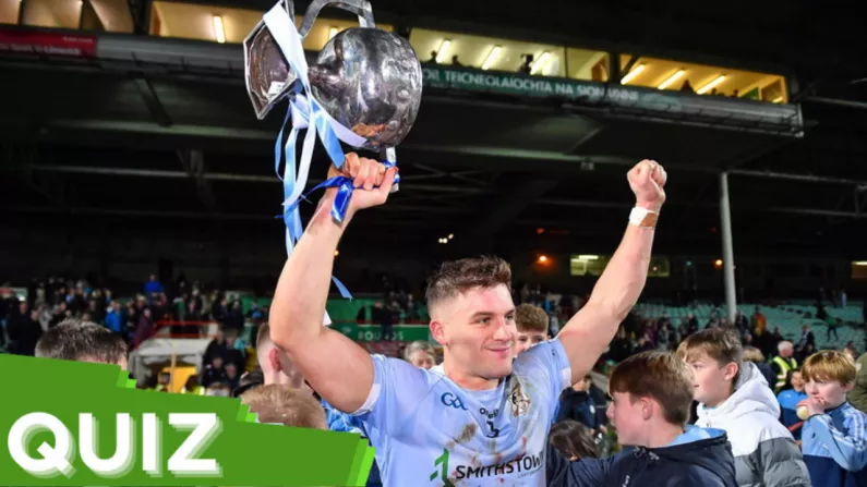 Quiz: Name The 2023 Club Hurling Champions Of These 17 Counties