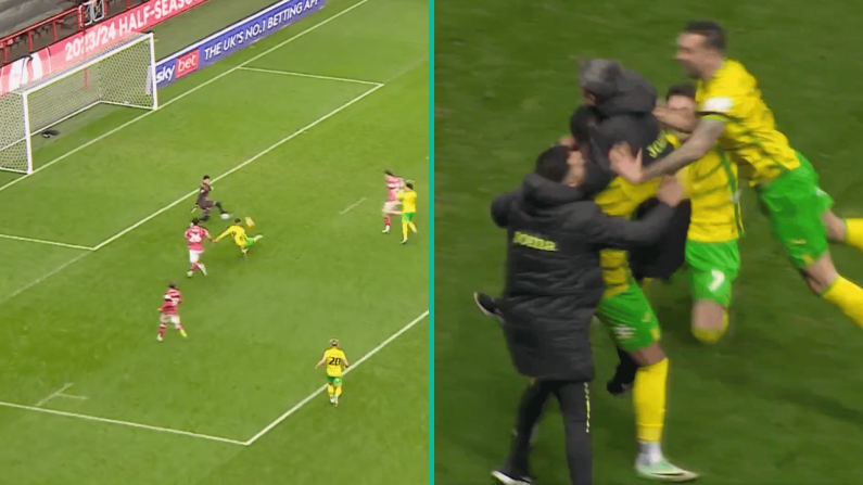 Late Adam Idah Winner Led To A Crazy Reaction From The Norwich City Manager