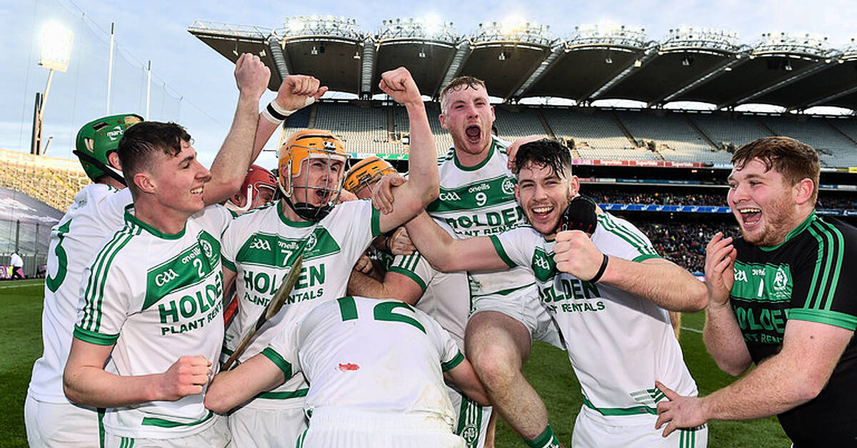 Six Sides Represented On Club Hurling Team Of The Year | Balls.ie