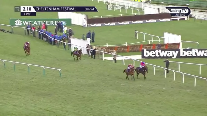 Champ Comes Out Of Nowhere In Incredible Finish To RSA At Cheltenham