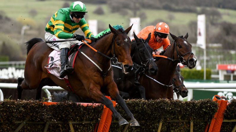 The Balls.ie Tipster's Big Selections For Cheltenham Day Three