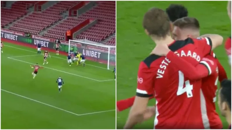 Watch: Ireland's Will Smallbone Scores Well-Taken Volley On Southampton Debut