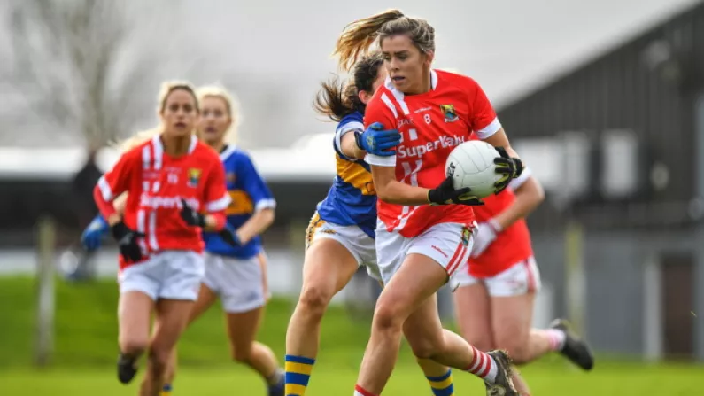 Defending Champions Cork Prove Too Strong For Tipperary