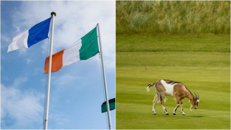 Here's The Explanation Behind Some Of The Weirdest Irish County Nicknames