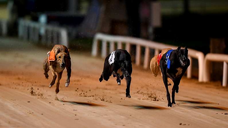 21 September 2019; Lenson Bocko, left, races next to Mucky Brae and Run Happy, on its way to winning race ten, The 2019 BoyleSports Irish Greyhound Derby Final during the 2019 Boylesports Irish Greyhound Derby at Shelbourne Park in Dublin. Photo by Harry Murphy/Sportsfile