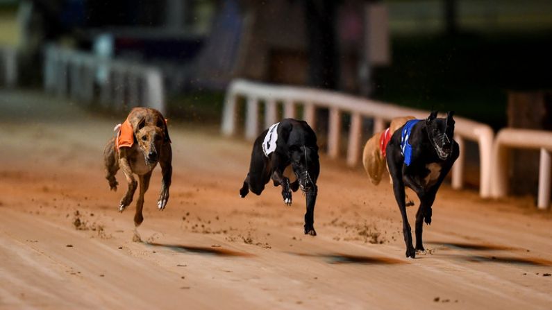 An Absolutely Massive Weekend Of Greyhound Racing Is Imminent