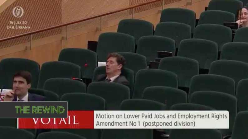 Watch: Green Party Leader Eamon Ryan Has To Be Woken Up To Take Part In Dáil Vote