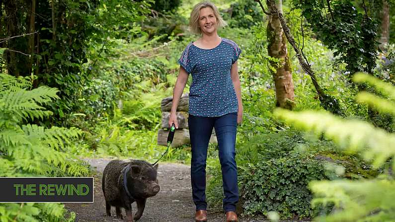 Fairy Pig Walks In Galway Are Here To Save Your Summer Holidays