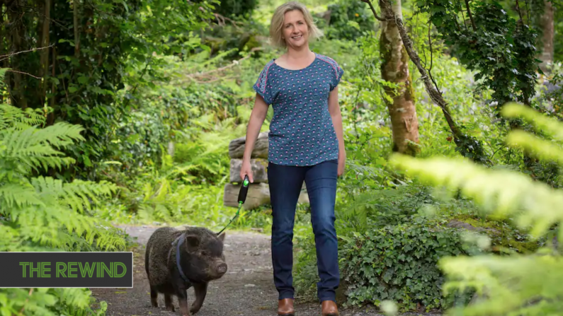 Fairy Pig Walks In Galway Are Here To Save Your Summer Holidays