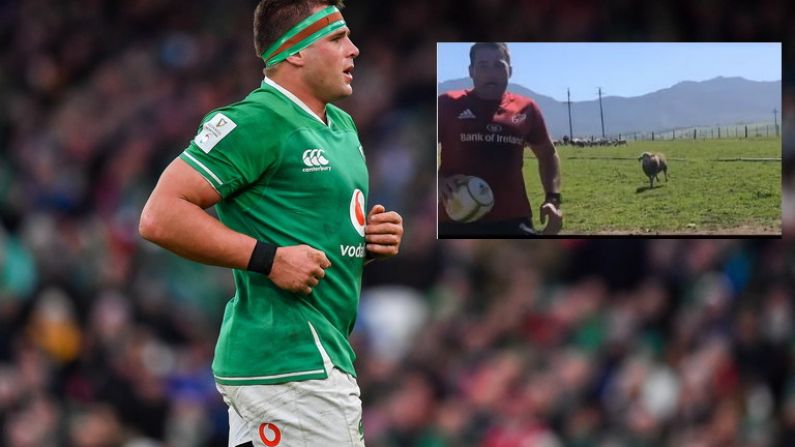 Watch: CJ Stander Sidesteps A Sheep