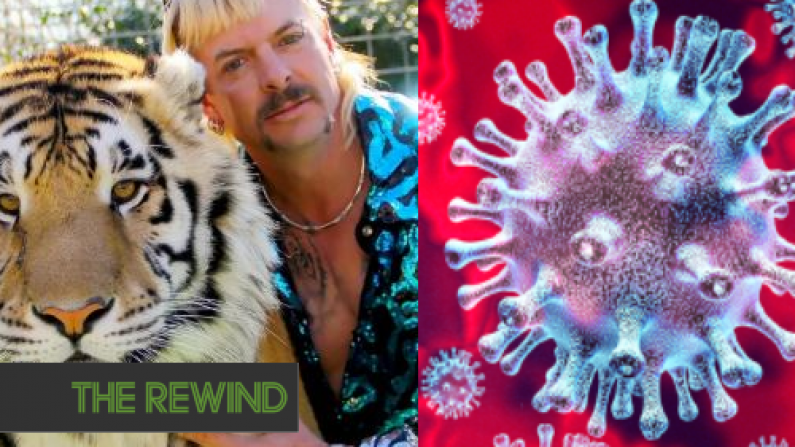 Tiger King's Joe Exotic Is In Coronavirus Isolation In Prison