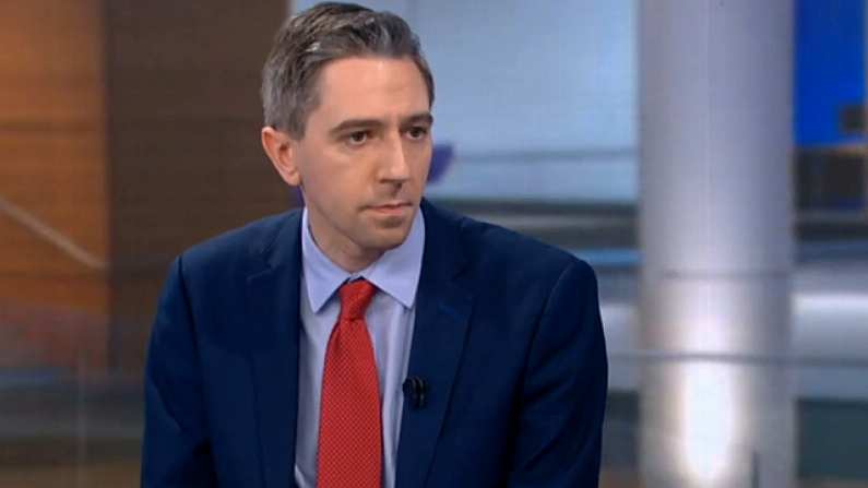 Simon Harris Erroneously Claims 'There Have Been 18 Other Coronaviruses'