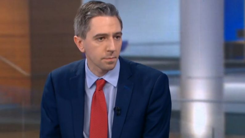 Simon Harris Erroneously Claims 'There Have Been 18 Other Coronaviruses'