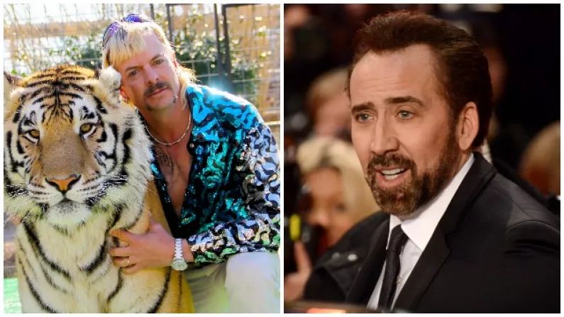 Nicolas Cage To Play Joe Exotic In 8-Part Tiger King TV Show
