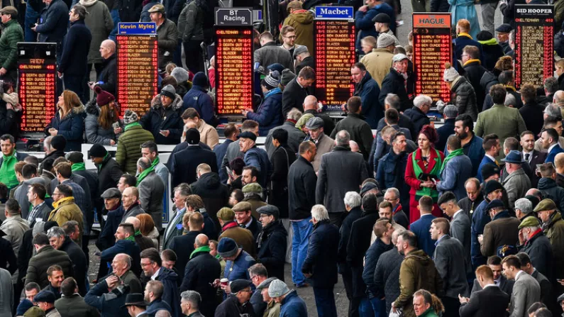 Study Finds Cheltenham And Liverpool Game "Caused Increased Suffering And Death"