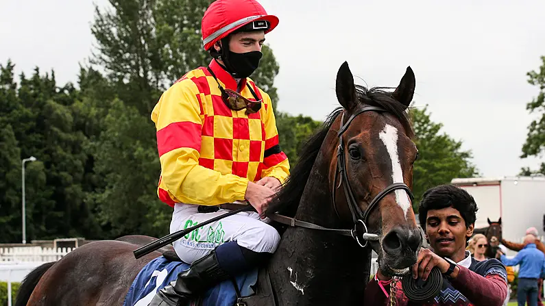 Big Night For Blackmore And De Bromhead In Roscommon