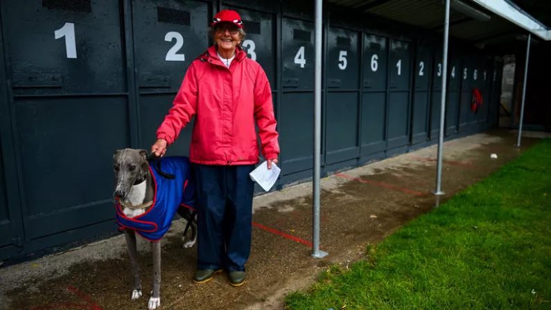Greyhound Racing Delighted To Welcome Fans Back To The Terraces Imminently
