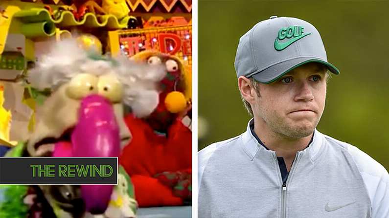 Americans Are Attacking Dustin The Turkey On Twitter Over Niall Horan