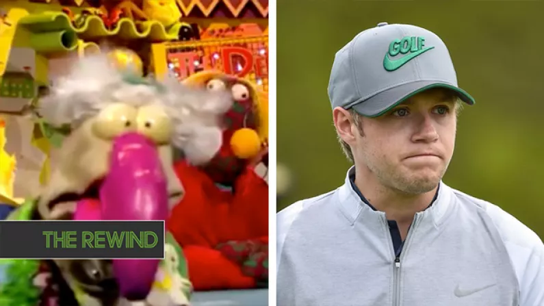 Americans Are Attacking Dustin The Turkey On Twitter Over Niall Horan