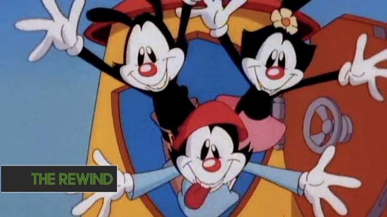 Animaniacs Will Return With New Episodes This Year