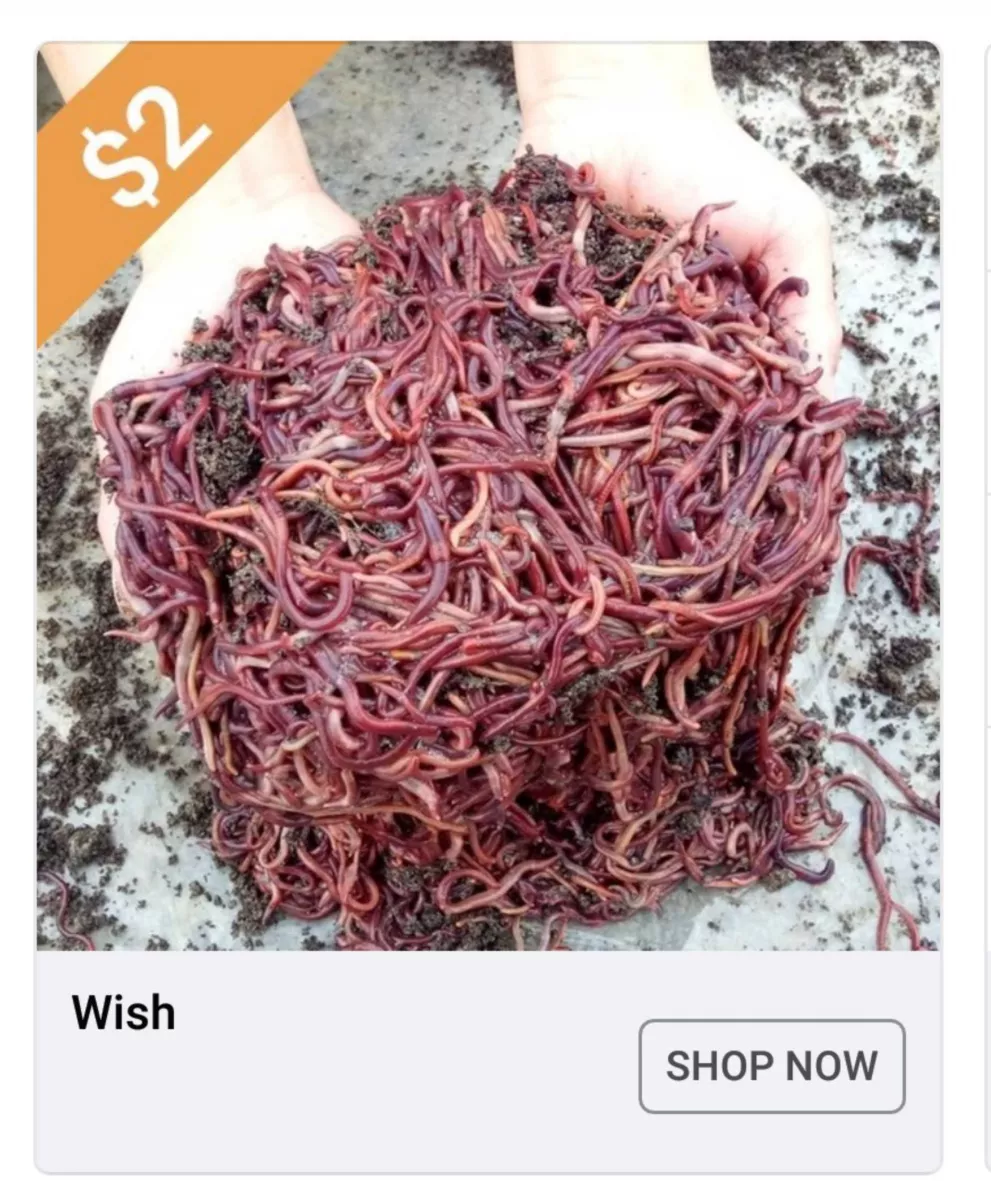 Wish Ads