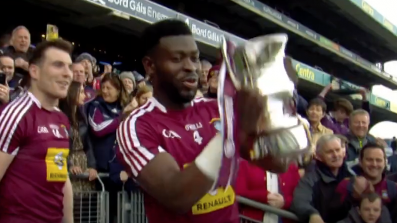 Viewers Absolutely Loved RTÉ's GAA Documentary New Gaels