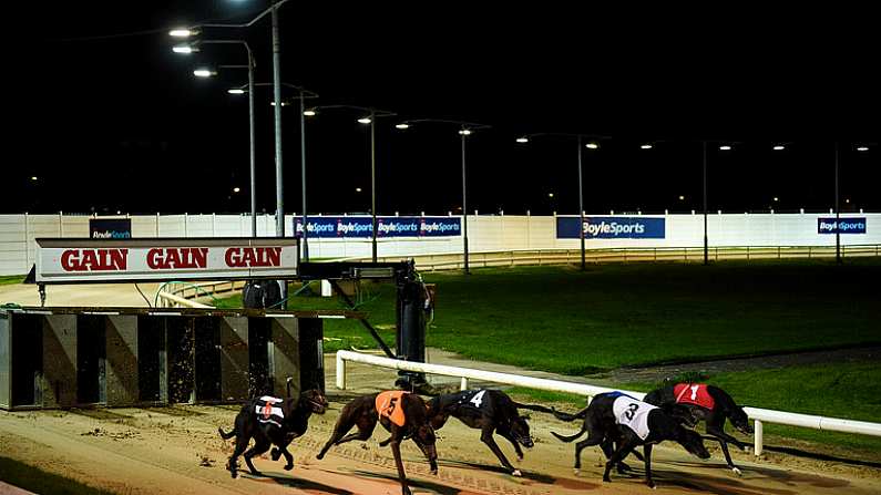 23 September 2017; Greyhounds, including eventual winner Native Chimes, 4, start the BoyleSports Bet 10 Get 50 Open 575 during Final Night at Shelbourne Park in Dublin. Photo by Cody Glenn/Sportsfile