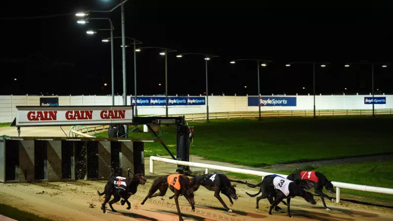 Which Six Greyhounds Will Have Fate On Their Side To Reach The Derby Final?
