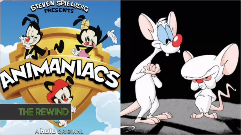 WATCH: Animaniacs Are Returning With New Episodes This Year And Here's The First Look
