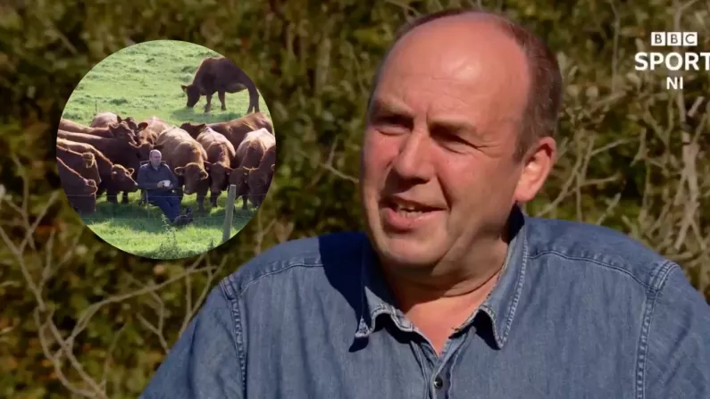 Antrim Farmer Shocked By Reaction To Irish Open Video